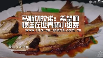 世界杯资讯