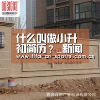 什么叫做小升初简历?_新闻快讯(图1) 新闻快讯