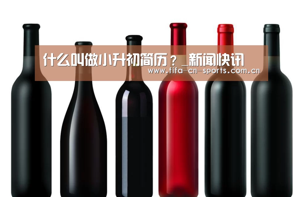 什么叫做小升初简历?_新闻快讯(图3) 新闻快讯