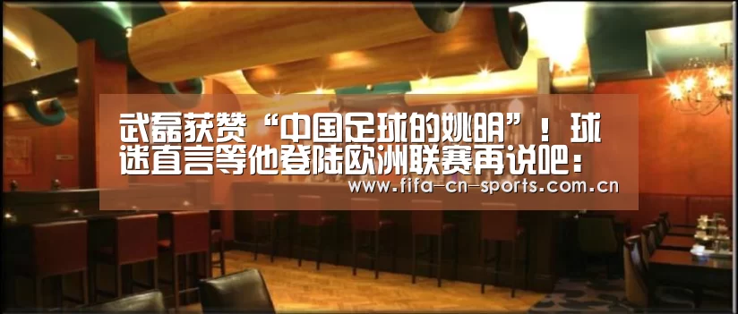 武磊获赞“中国足球的姚明”!球迷直言等他登陆欧洲联赛再说吧:赛程时间(图3) 球队资料