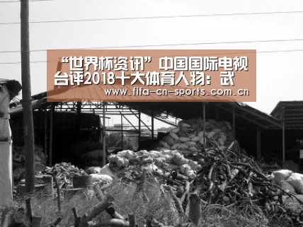 “世界杯资讯”中国国际电视台评2018十大体育人物:武磊王霜姚明等人在列(图1) 赛程时间