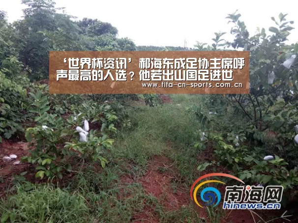 ‘世界杯资讯’郝海东成足协主席呼声最高的人选?他若出山国足进世界杯真有戏(图3) 赛程时间