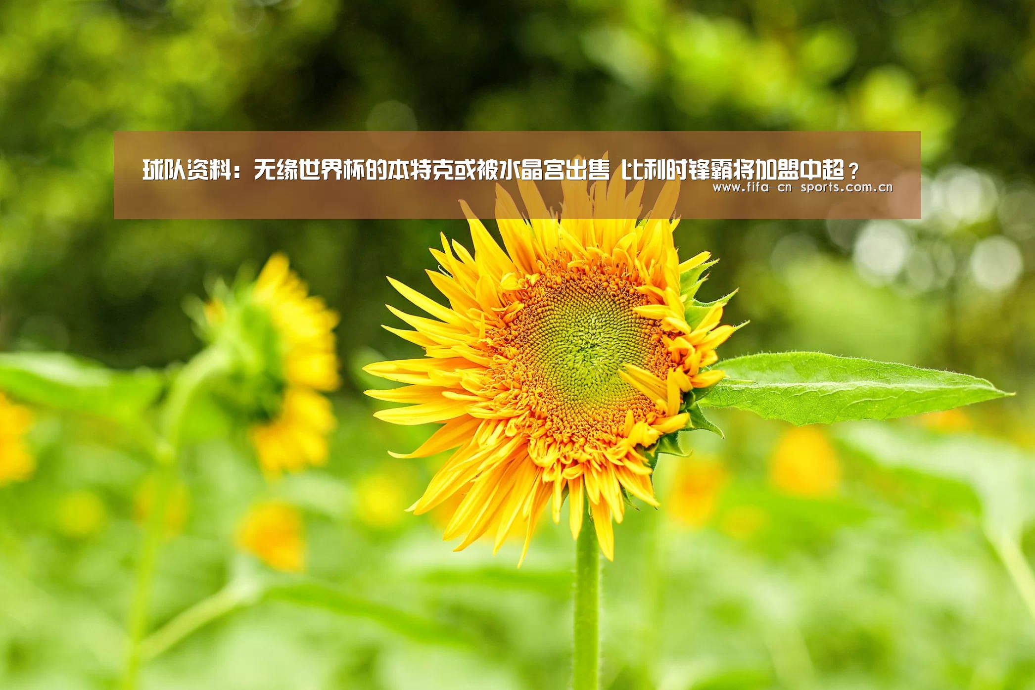 球队资料:无缘世界杯的本特克或被水晶宫出售 比利时锋霸将加盟中超?(图2) 世界杯资讯